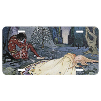 Sleeping Beauty Princess Vintage Magic Romance License Plate