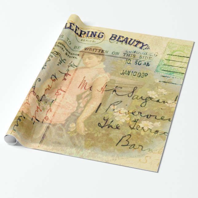 Sleeping Beauty Wrapping Paper (Unrolled)