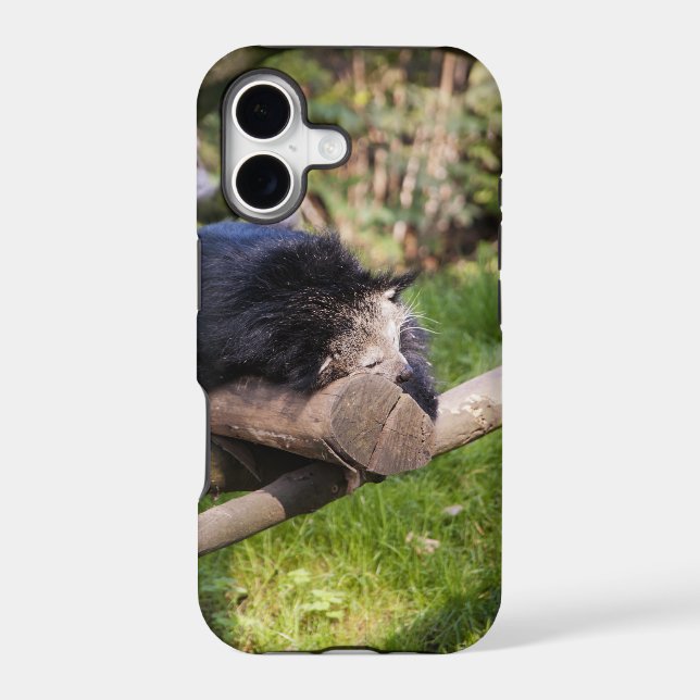 Sleeping Binturong Iphone Case (Back)