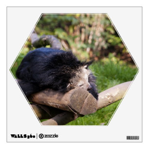 Sleeping Binturong Wall Sticker