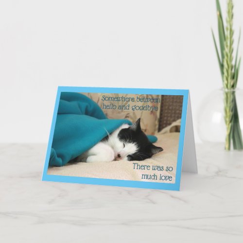 Sleeping Black and White Cat Card