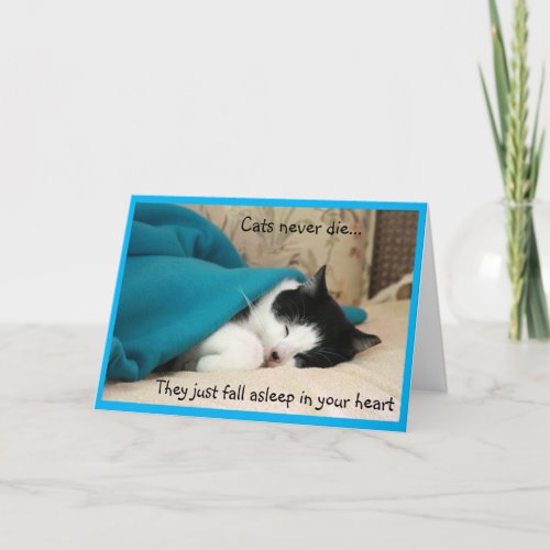 Sleeping Black and White Cat Sympathy  Card