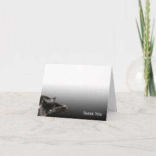 Sleeping Black Cat on Black Gradient Letterpress Thank You Card