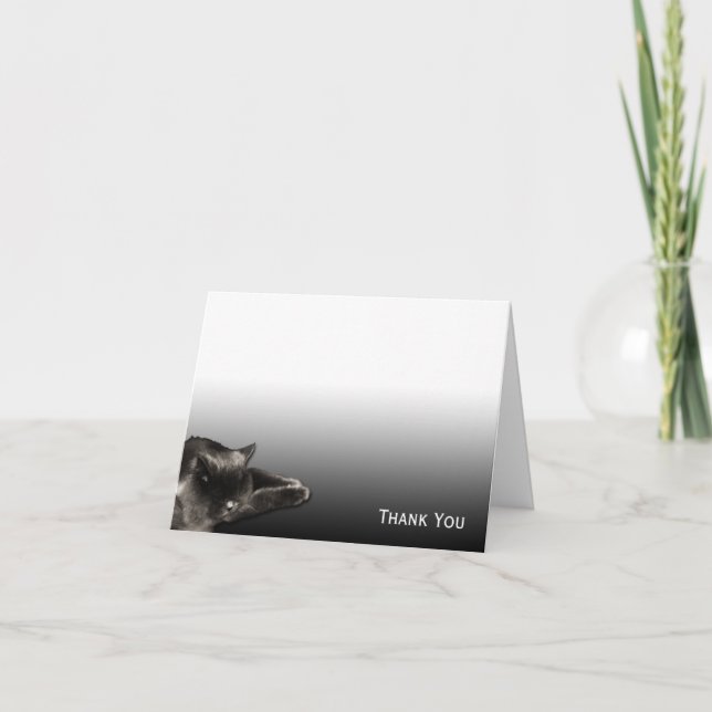 Sleeping Black Cat on Black Gradient Letterpress Thank You Card (Front)