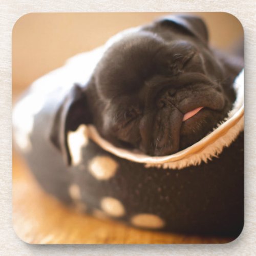 Sleeping black Chinese Pug Puppy Dog Coaster