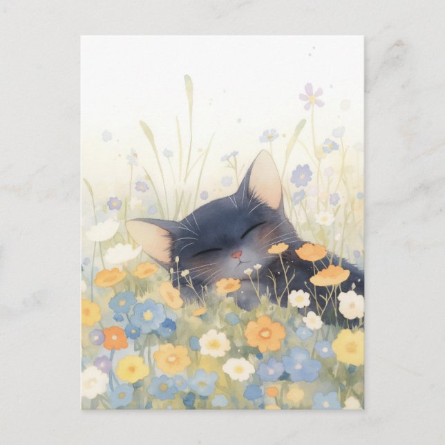Sleeping Black Kitten in Wildflower Meadow Postcard (Front)