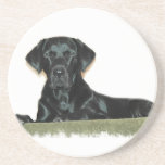 Sleeping Black Labrador Retriever Coasters