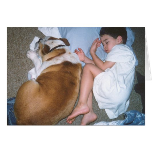 Sleeping boy with Bulldog Cards (Front Horizontal)