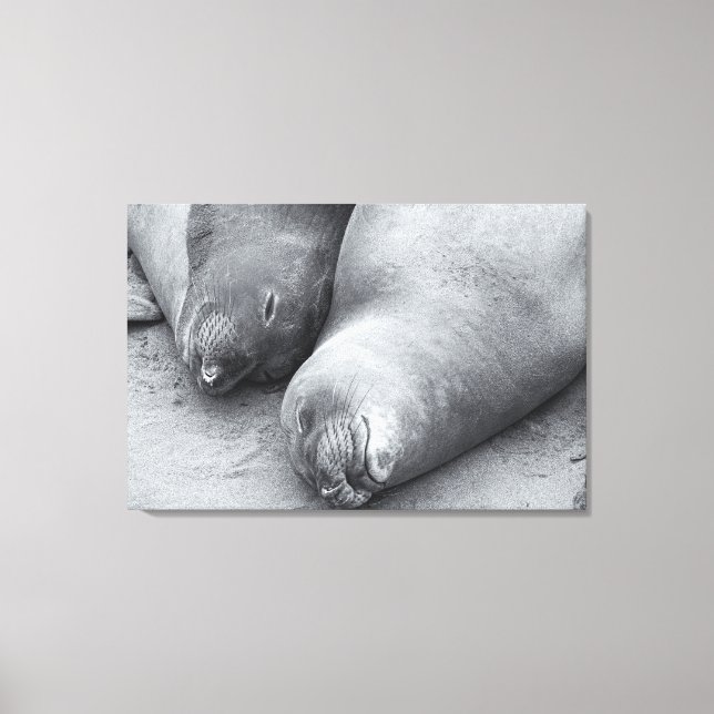 Sleeping Buddies Canvas Print (Front)