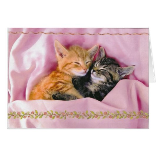 Sleeping Buddies; Tuckered Out Cards (Front Horizontal)