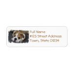 Sleeping Bulldog Address Labels