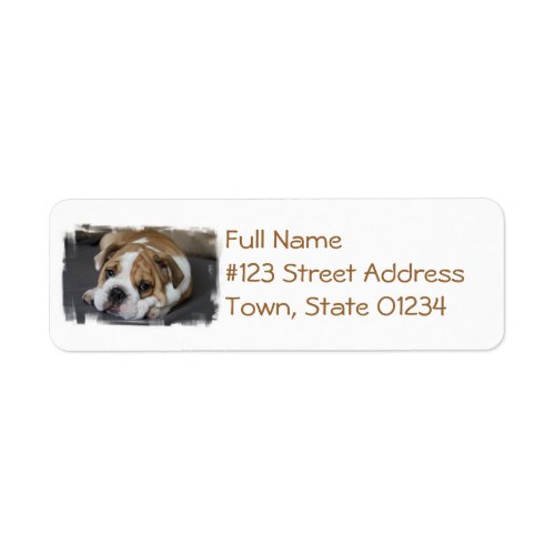 Sleeping Bulldog Address Labels