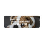 Sleeping Bulldog Address Labels