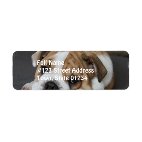 Sleeping Bulldog Address Labels