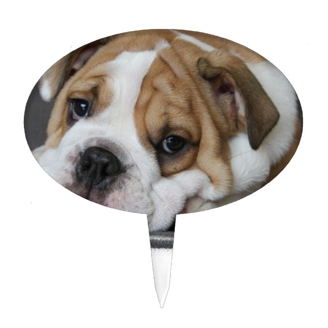 Sleeping Bulldog Cake Topper (Front)