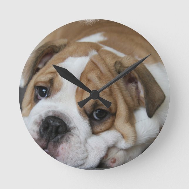 Sleeping Bulldog Clock (Front)