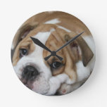 Sleeping Bulldog Clock