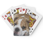 Sleeping Bulldog Deck of Cards