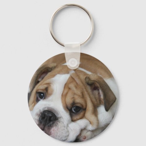 Sleeping Bulldog Keychain