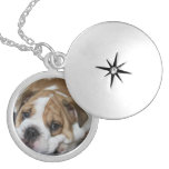 Sleeping Bulldog Locket Necklace