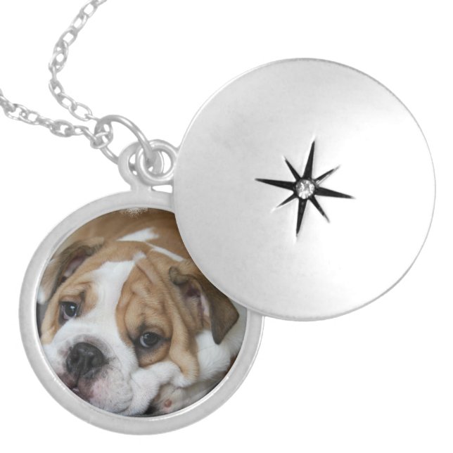 Sleeping Bulldog Locket Necklace (Front)