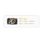 Sleeping Bulldog Mailing Labels