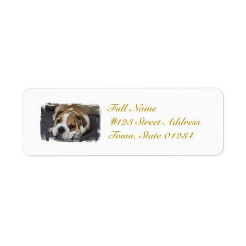 Sleeping Bulldog Mailing Labels