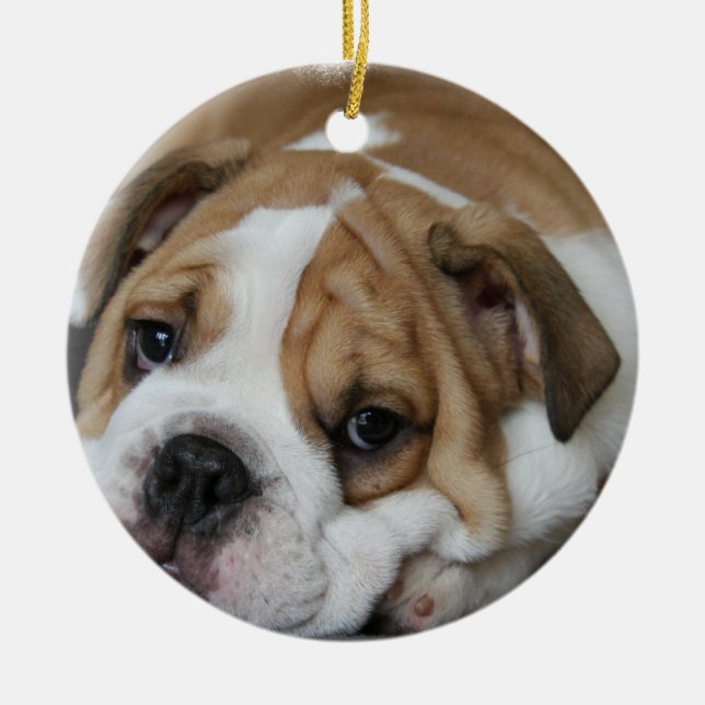 Sleeping Bulldog Ornament (Front)