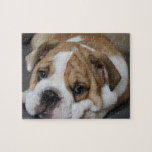Sleeping Bulldog Puzzle<br><div class="desc">Sweet bulldog sleeping with his head on his paws.</div>