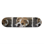 Sleeping Bulldog Skateboard