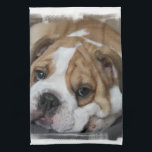 Sleeping Bulldog Towel<br><div class="desc">Sweet bulldog sleeping with his head on his paws.</div>