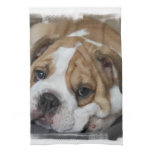 Sleeping Bulldog Towel