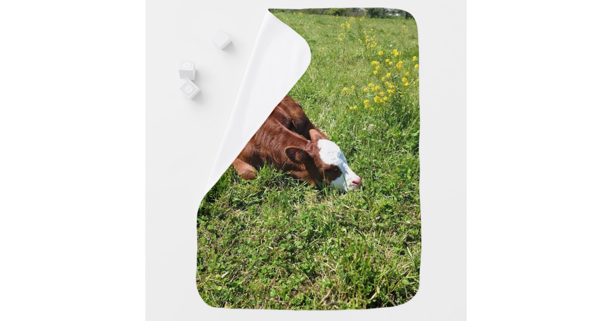 Sleeping Calf Baby Blanket Zazzle