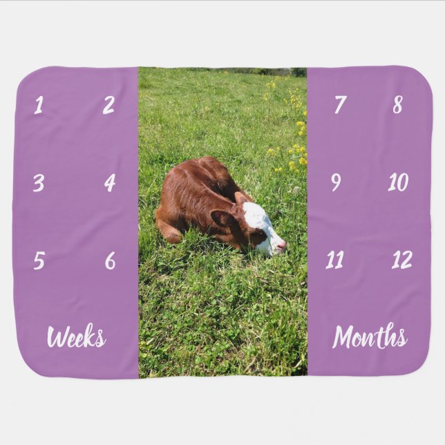 Sleeping Calf Weekly & Monthly Milestone Baby Blanket (Horizontal)