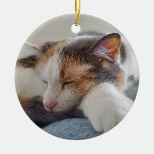 Sleeping calico cat ceramic ornament