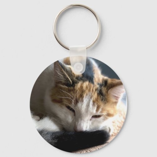 Sleeping Calico Cat Keychain