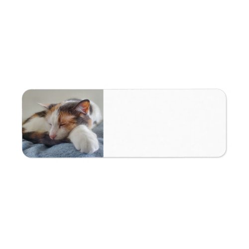 Sleeping Calico cat Label
