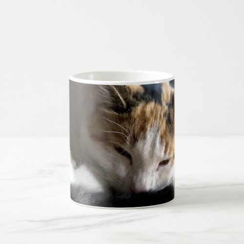 Sleeping Calico Cat Magic Mug