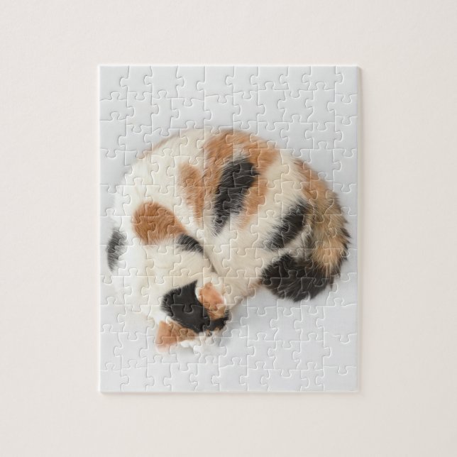 Sleeping Calico Cat Photo Puzzle and Gift Box (Vertical)