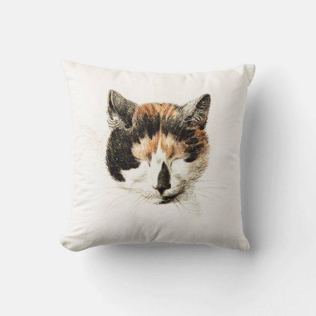 Sleeping Calico Cat Throw Pillow (Front)
