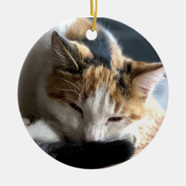 Sleeping Calico Ceramic Ornament (Front)