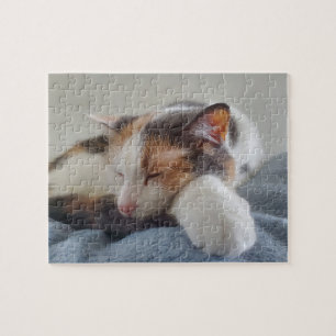 Sleeping Calico Jigsaw Puzzle