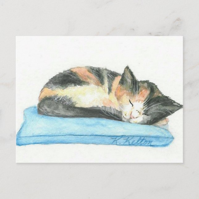 Sleeping Calico Kitten Postcard (Front)