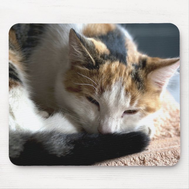 Sleeping Calico Mouse Pad (Front)