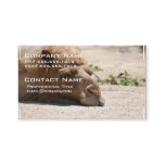 Sleeping Camel Business Card