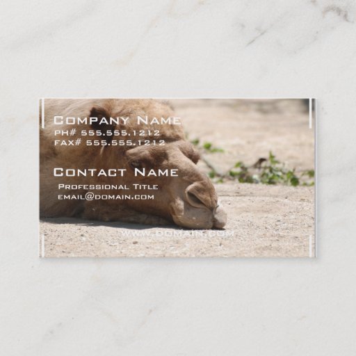 Customizable Sleeping Camel Business Card Templates