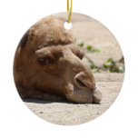 Sleeping Camel Ceramic Ornament