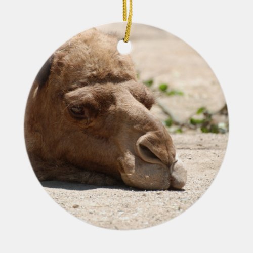Sleeping Camel Ceramic Ornament
