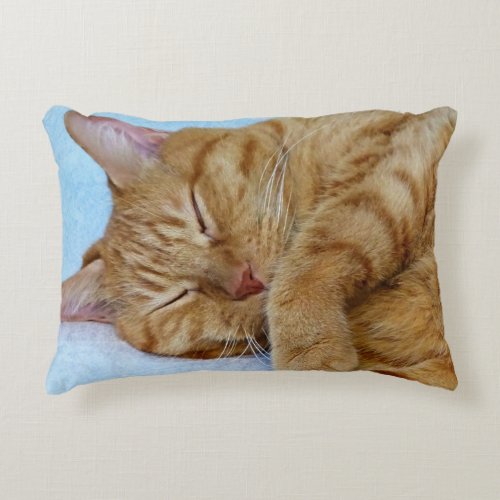 Sleeping Cat Accent Pillow