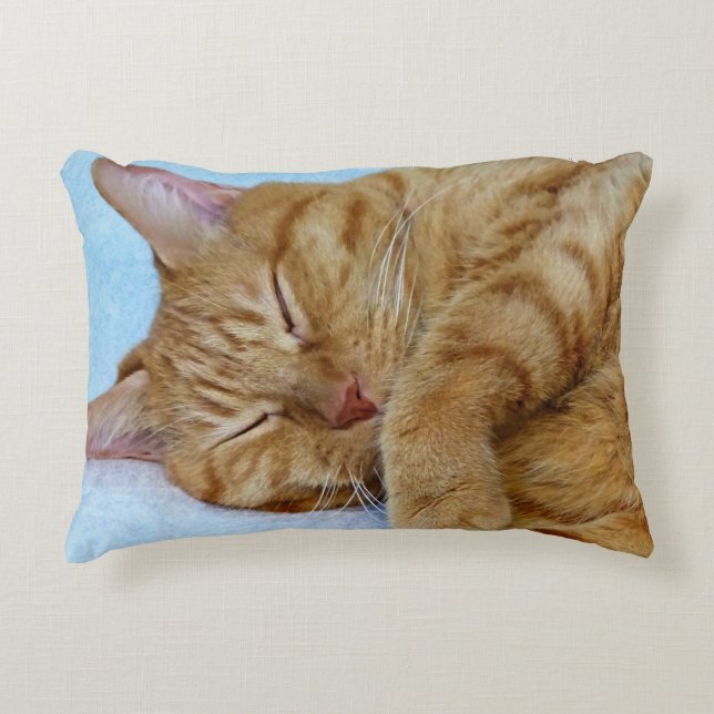 Sleeping Cat Accent Pillow (Front)